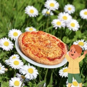 Margherita enfant 20cm